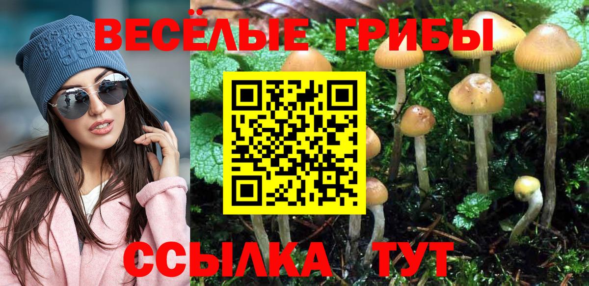 Галлюциногенные грибы GOLDEN TEACHER Белово