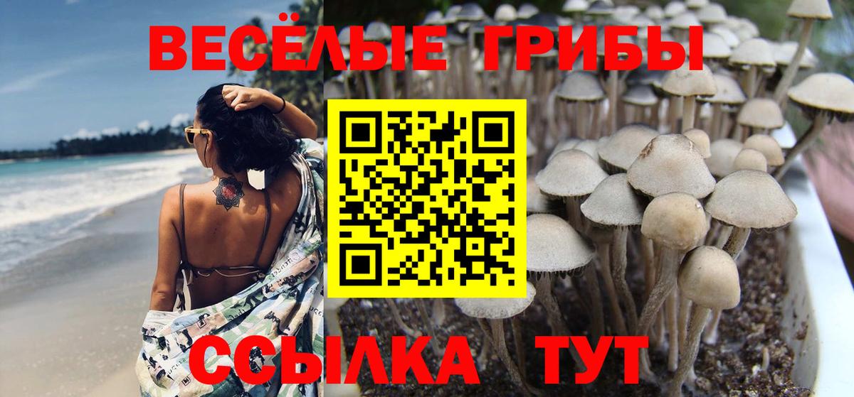 Псилоцибиновые грибы Psilocybine cubensis  как найти закладки  Белово  Псилоцибиновые грибы MAGIC MUSHROOMS  Вход с VPN 